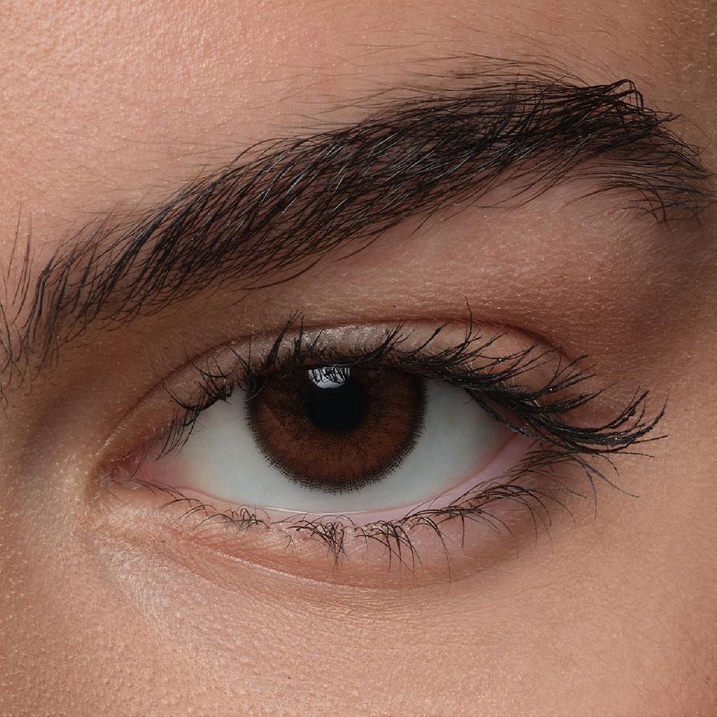 Stylish brown