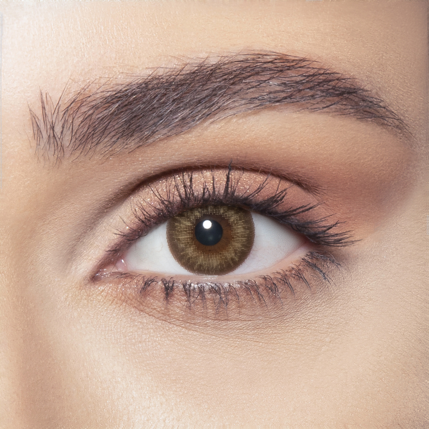 Almond Brown 
